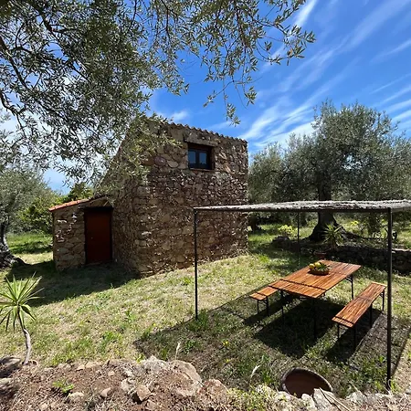 Holiday home Ferla Santuario di Gibilmanna